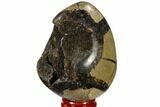Septarian Dragon Egg Geode - Black Crystals #118753-2